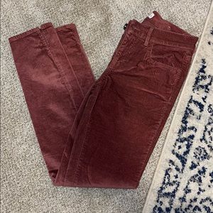Brand New Women’s Loft Suede Pants 25/0